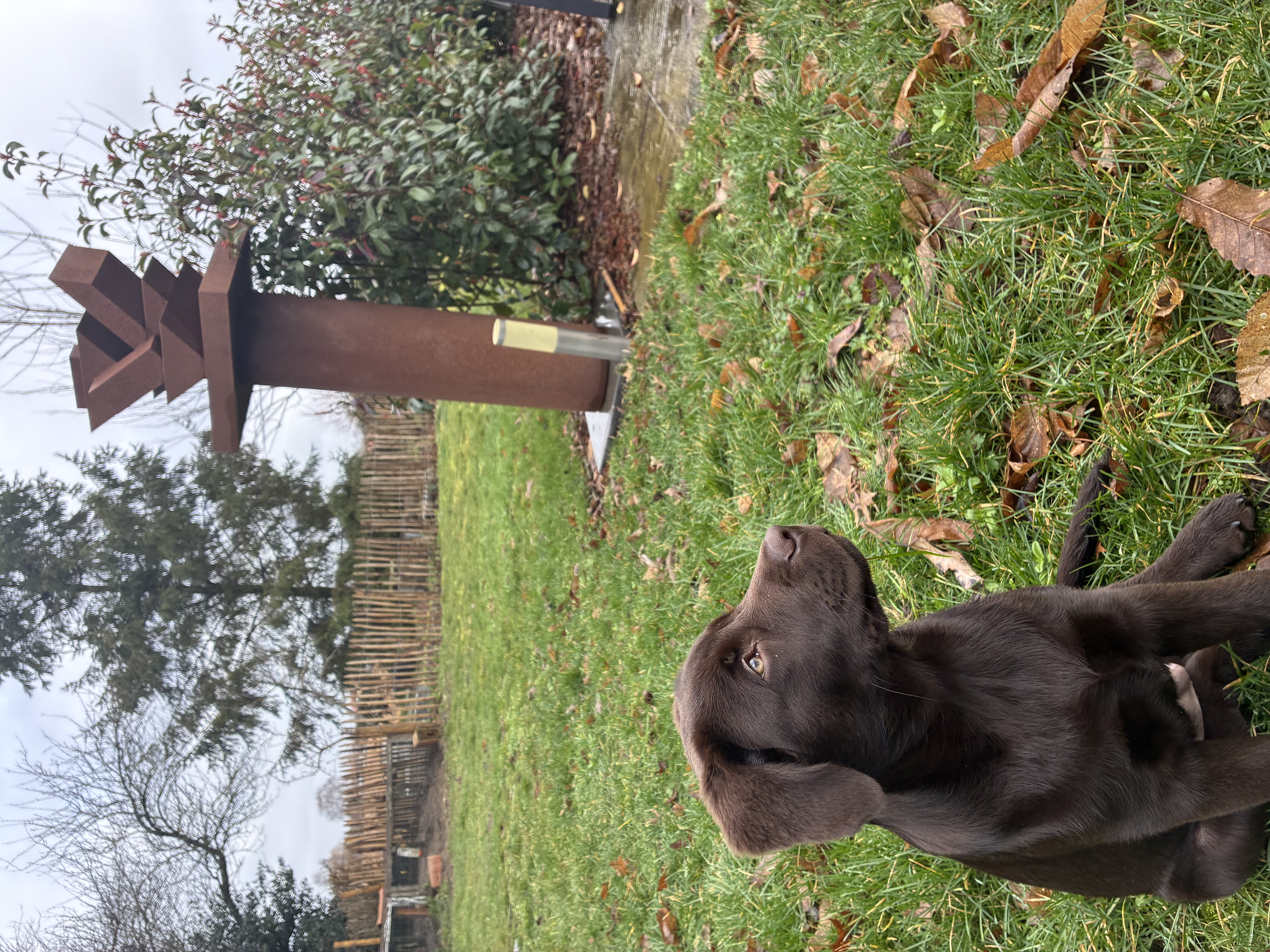 Kunstwerk van David Smulders - foto 1