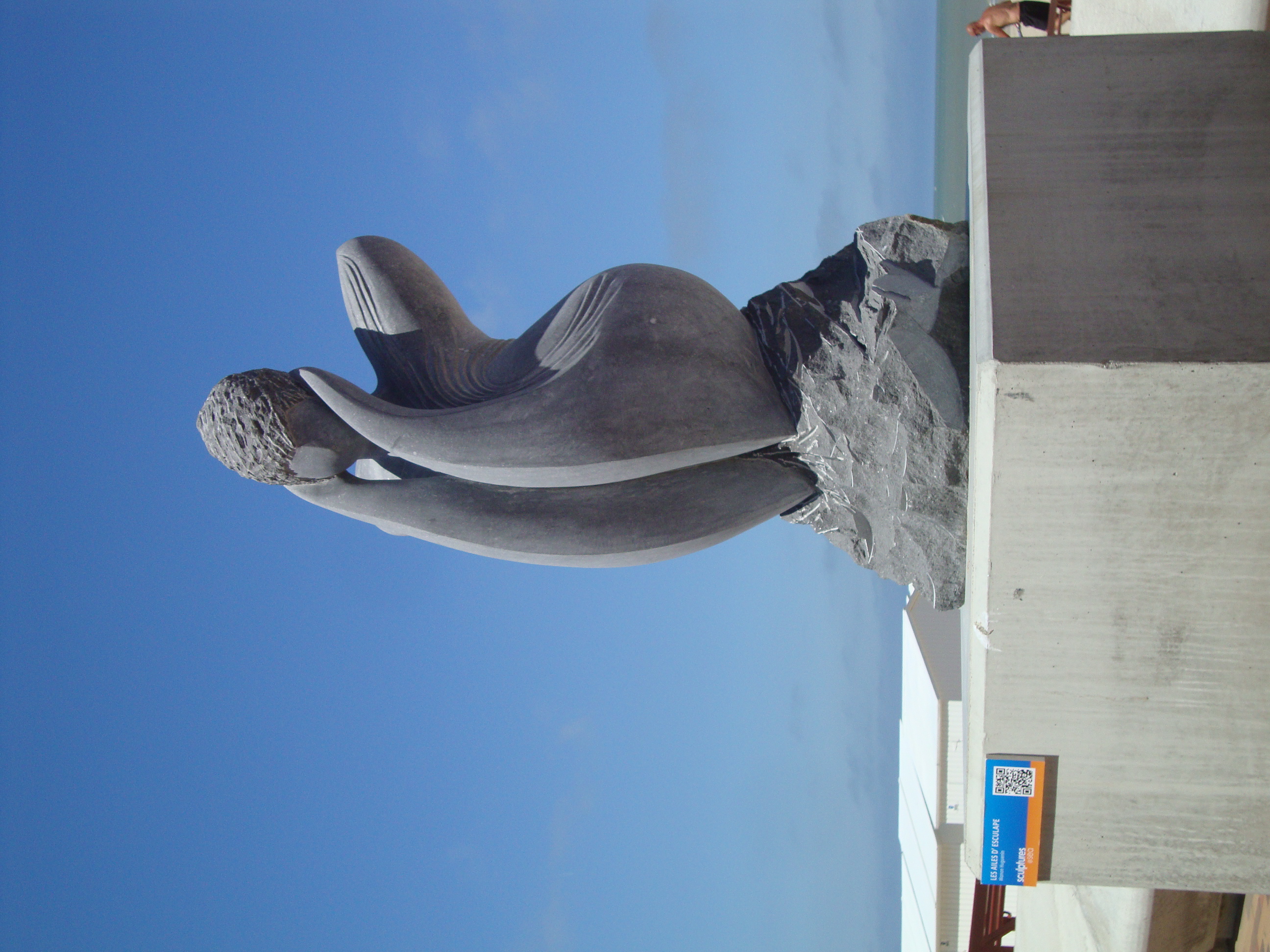 Kunstwerk van Manon Huguenin - foto 3